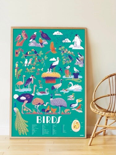 Discovery Poster- Birds