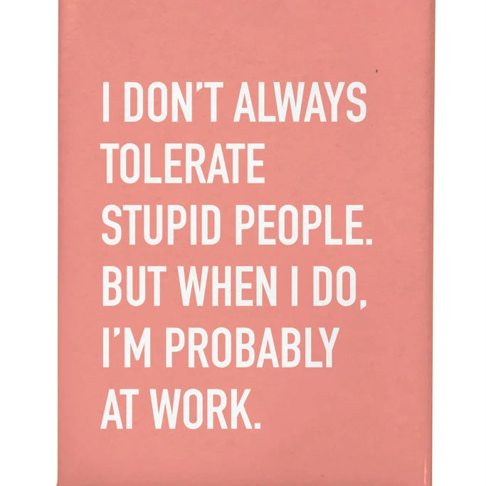 Tolerate Stupid People Magnet