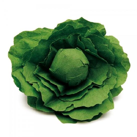 Lettuce