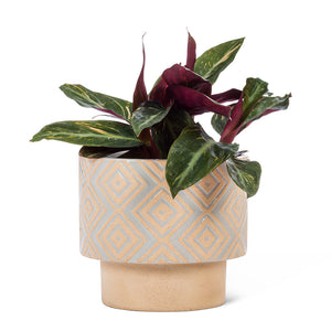 T-Shaped Geometric Planters