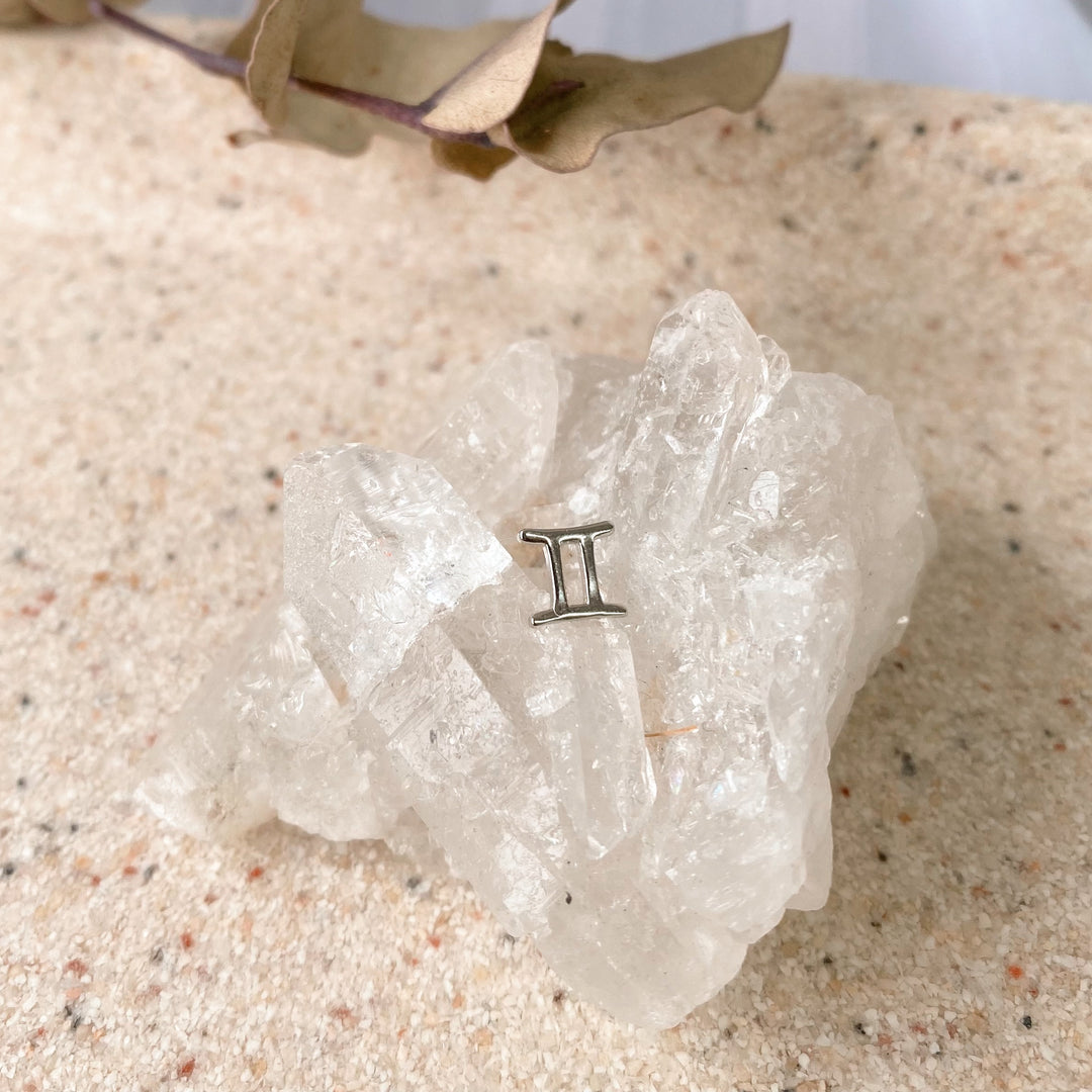 Zodiac Earrings- Silver