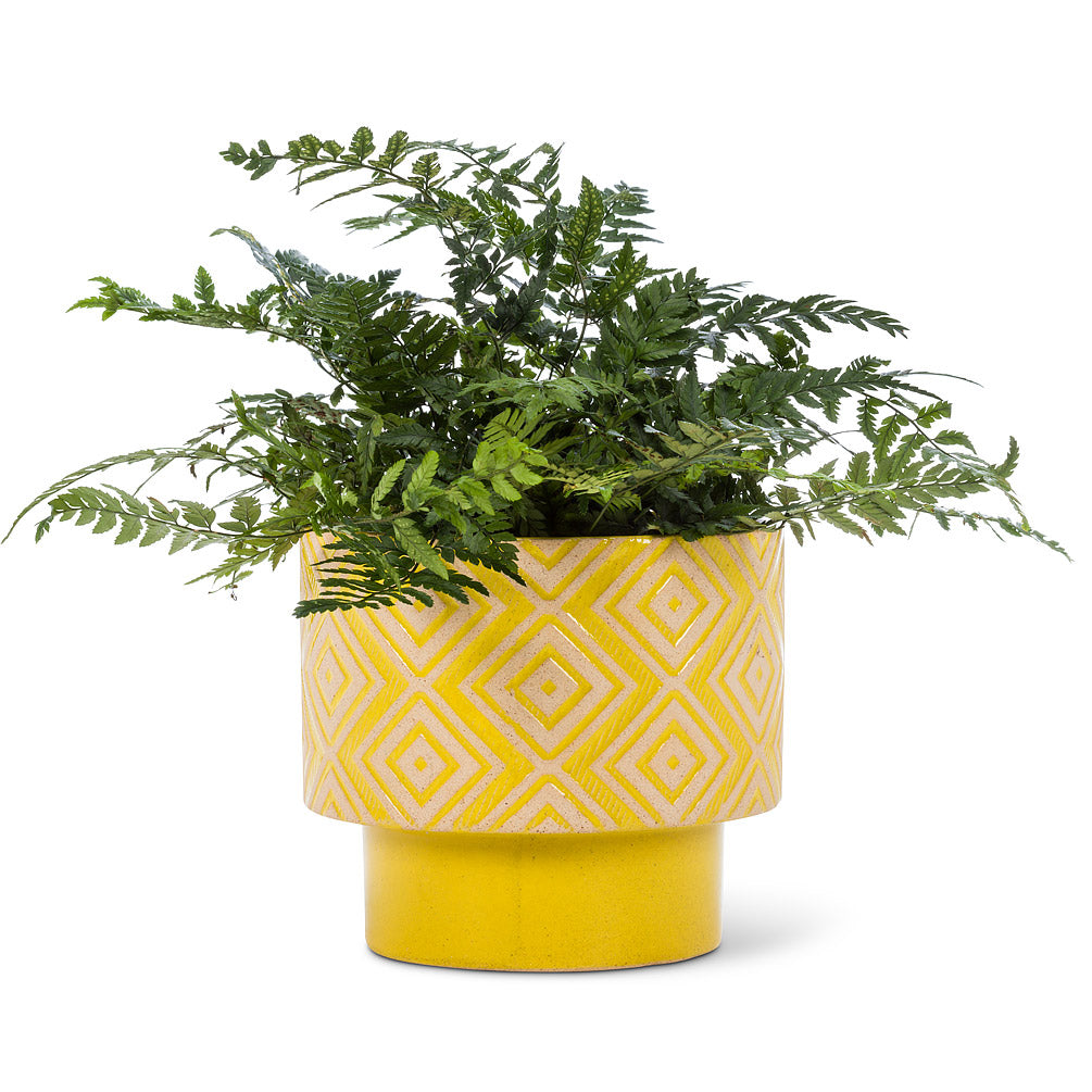 T-Shaped Geometric Planters