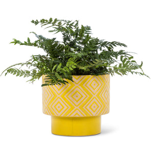 T-Shaped Geometric Planters