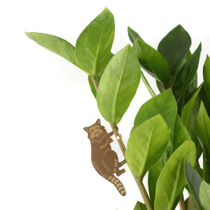 Plant Animals - Raccoon