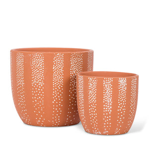 Dot Planter