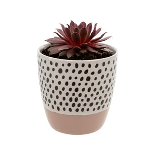 Polkadot Planter- Dusty Pink