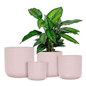Classic Planter- Medium Pink