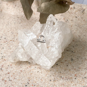 Zodiac Earrings- Silver