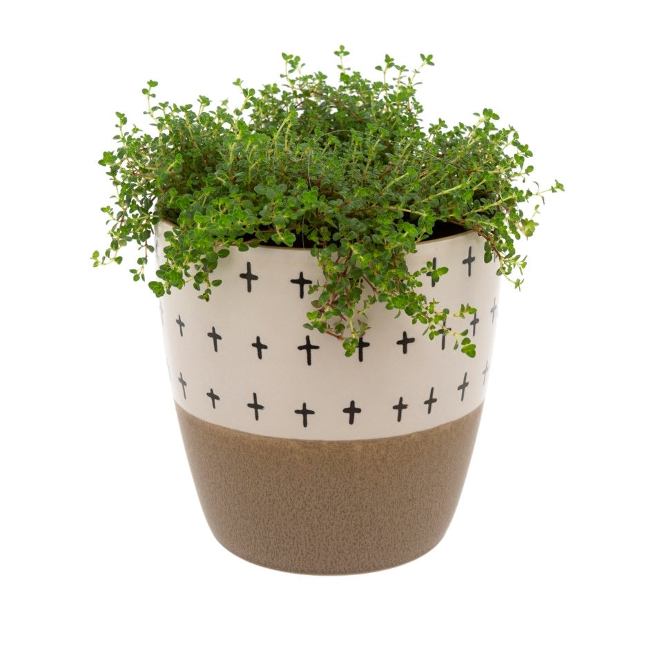 Taupe Cross Pot