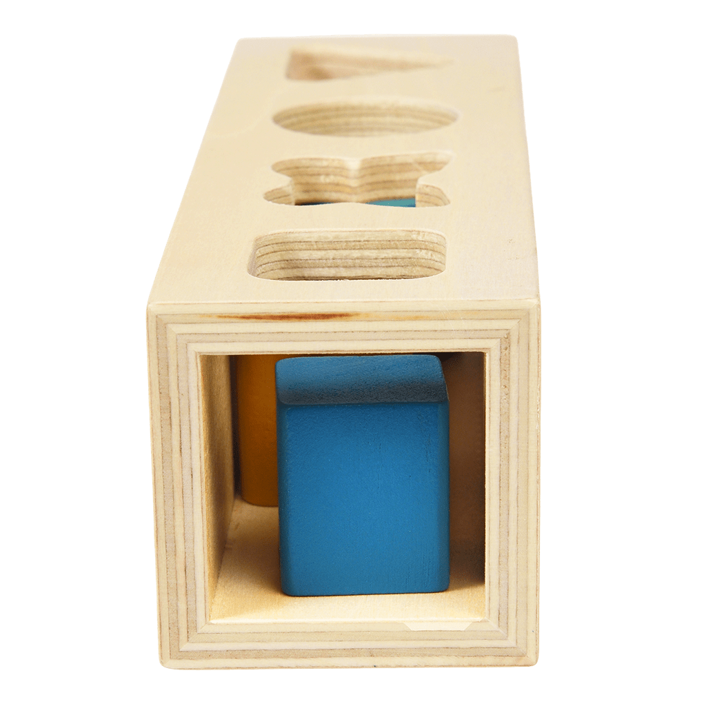 Wild Wonders Shape Sorter