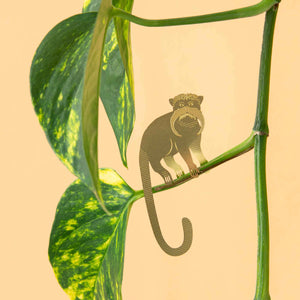 Plant Animals - Tamarin